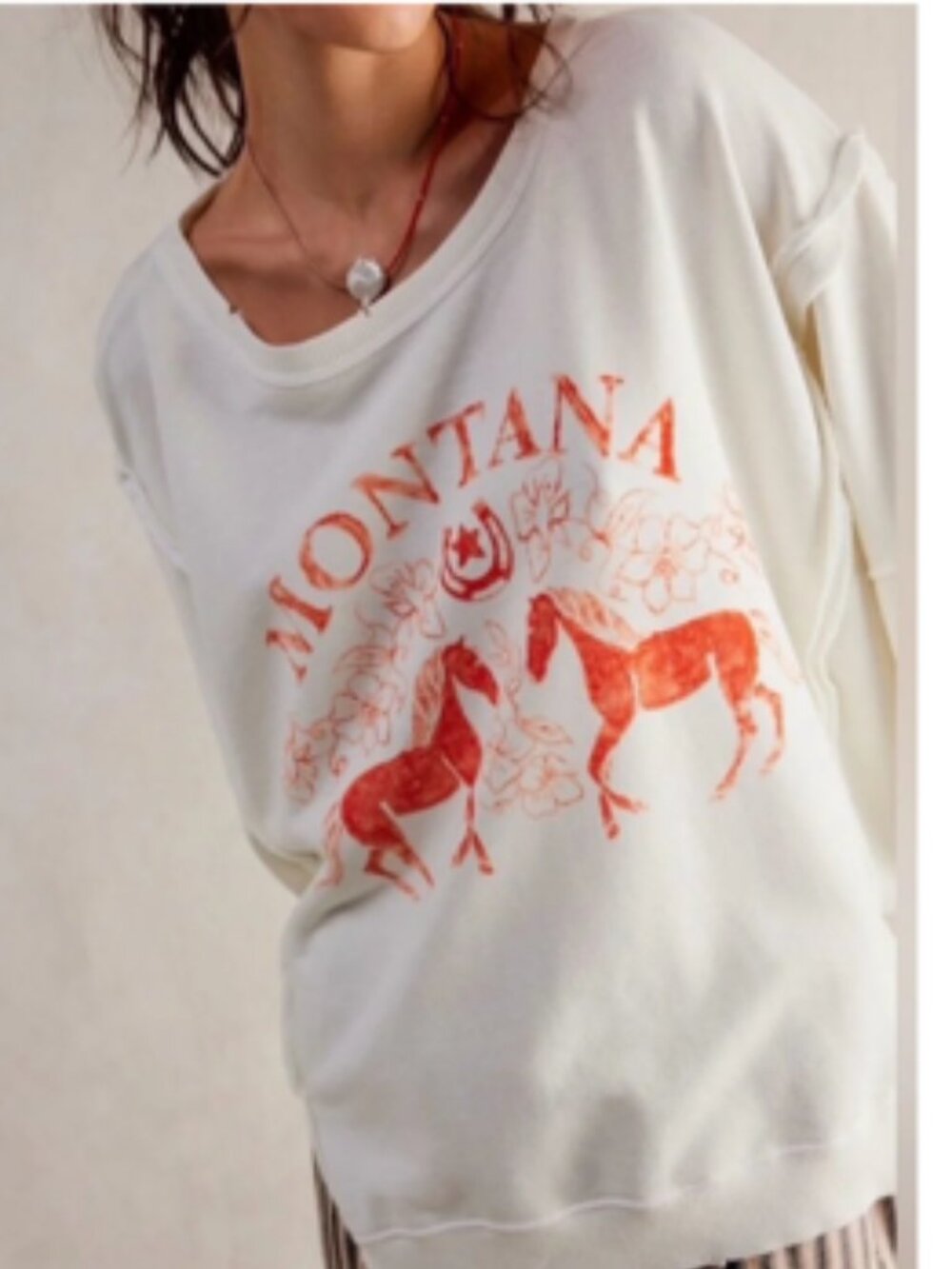 NWT We The Free Graphic Montana Pullover